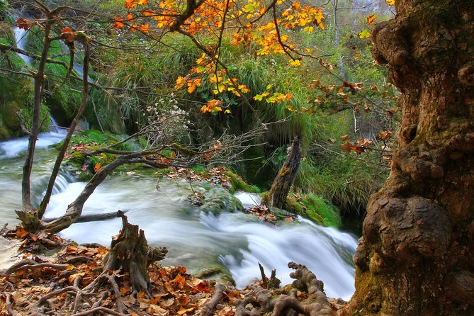 Plitvice Lakes Best of Tour - Pricing and Best Value Options