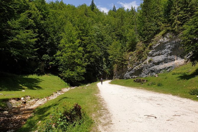 POIANA BRASOV and POSTAVARU CHALET Ebike Tour (Brasov) - Meeting Point Information