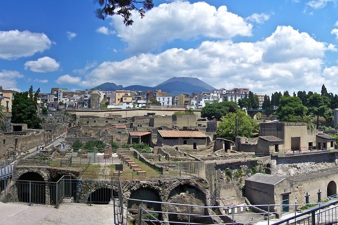 Pompeii, Herculaneum and Naples From Sorrento - Booking and Assistance Options
