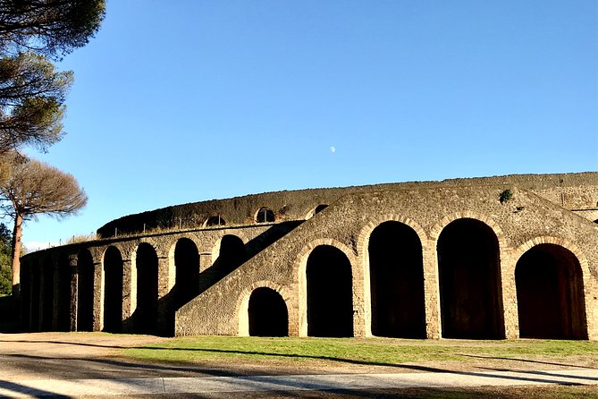 Pompeii Visit With Food and Wine Tasting Near Mt. Vesuvius - Lunch at the Winery