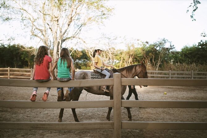 Pony Rides at North Shore Stables - Pony Ride Experience Highlights