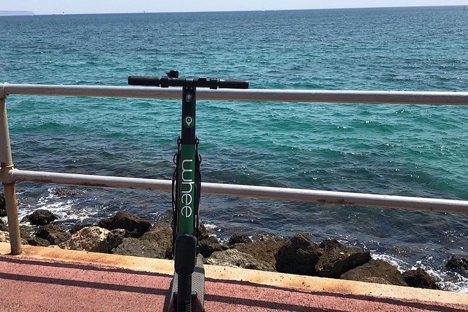 Premium Electric Scooter Rental With Optional Delivery - Rider Weight Restrictions