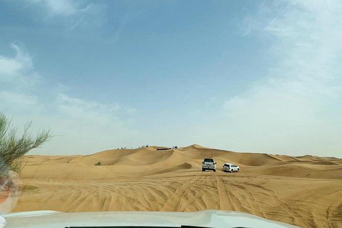 Premium Red Dunes Safari and Camel Safari With BBQ Dinner - Capacity and Booking Details
