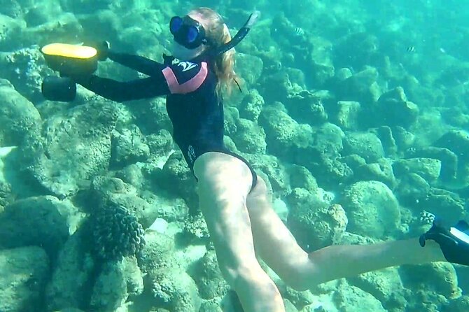 Princeville - Snorkeling Shore Excursion - Cancellation Policy Explained