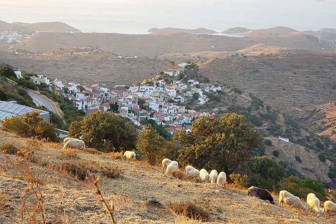 Private 6-Day Tour Discovering Greece and Live Like an Islander - Preparing for the Tour and Cancellation Policy