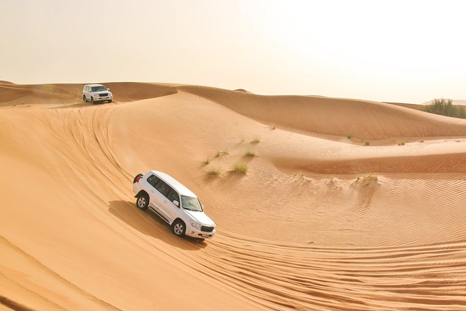 Private Abu Dhabi Evening Desert Safari (Exclusive) - Additional Activities Available