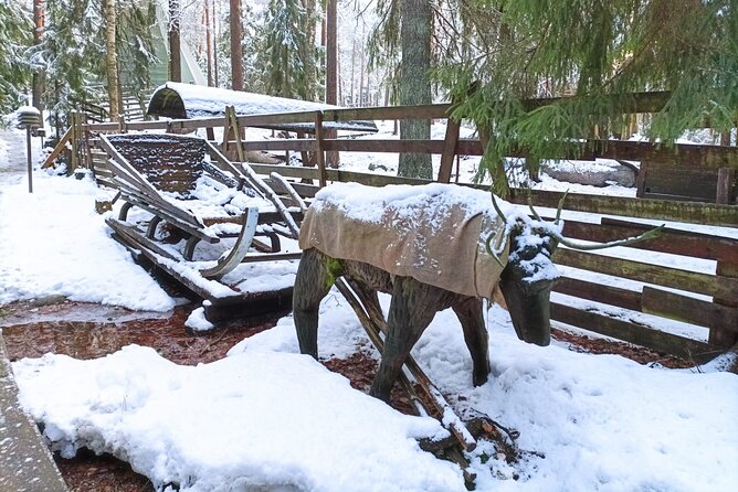 PRIVATE Adventure To The REINDEER Park by VIP Car - Reindeer Interaction