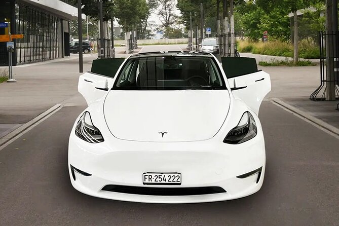 Private Arrival Transfer: From Zurich Airport to Lucerne - Customer Feedback
