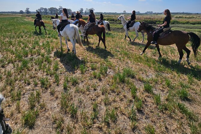 Private Bachelorette Party With Horseback Riding on the Beach - Stunning Coastal Scenery