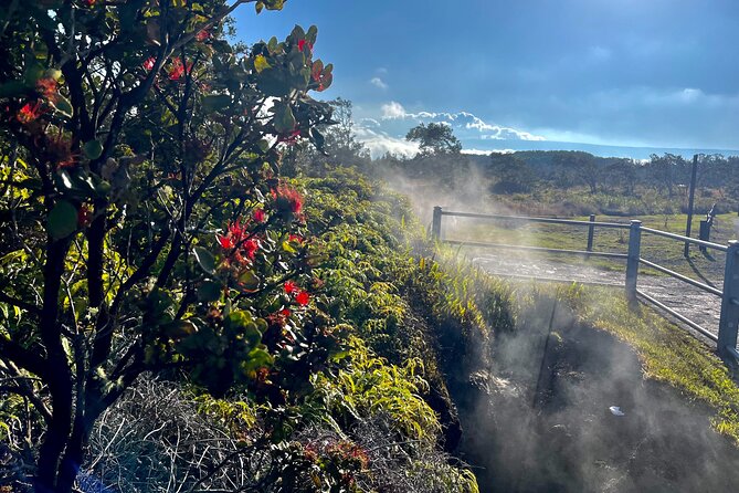 Private Big Island Tour: Coffee, Beaches, Volcanos, Waterfalls - Pricing and Booking