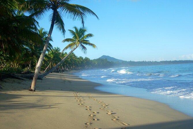 Private Boat Nature Tour of Limón Beach and Lagoon - Exploring Limon Beach and Lagoon
