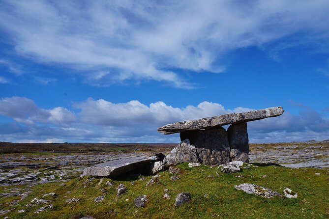 Private Burren and Cliffs of Moher Full Day Tour - Vehicle Comfort and Cleanliness