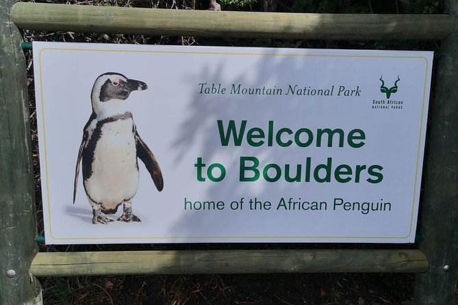 Private Cape of Good Hope Cape Point Penguin Kirstenbosch Tour. - Customer Experiences