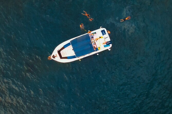 Private Charter 3 Hours Whale Encounter Puerto Colon Adeje - Booking Process