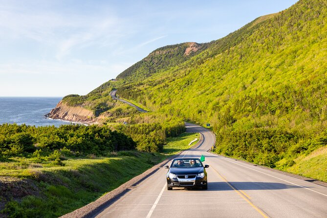 Private Cruise Excursion in Cape Breton - Customer Feedback and Reviews