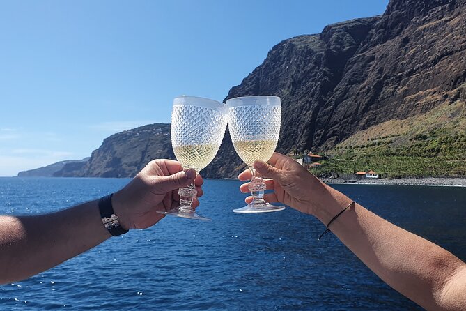 Private Cruise With Wine Tasting in Funchal Bay - Recommendations for Future Excursions