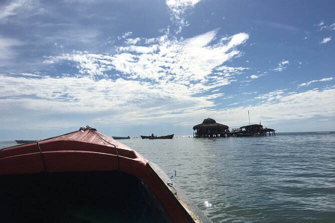 Private Customizable Waterfalls, Crocodiles, Rum Tasting, or Pelican Bar Tour - Pricing and Cancellation