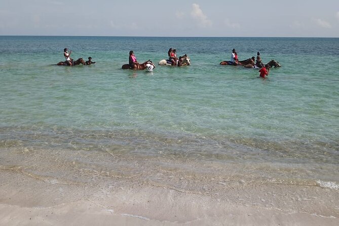 Private & Customize Tour to Martha Brae Rafting and Horseback Riding N Swim - Horseback Riding Adventure