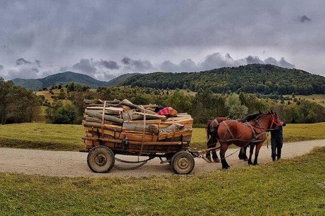 Private Day Tour to Historical Villages in Sinaia - Meeting Point and Start Time