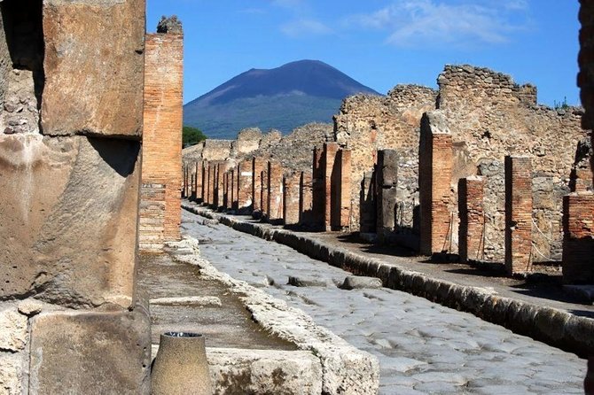 Private Day Tour to Pompei ,Winery, Sorrento From Napoli/Salerno/Amalfi/Positano - Optional Pompeii Private Guide
