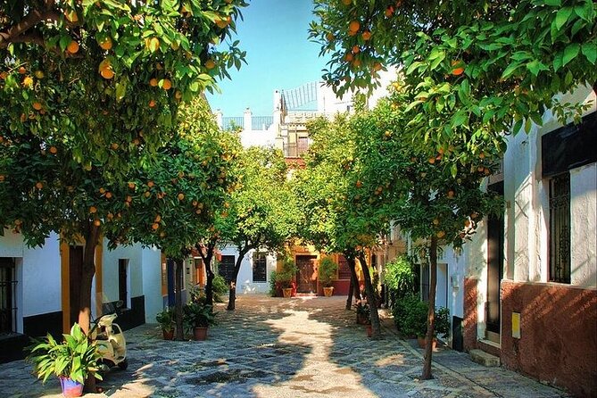Private Day Trip From Cadiz Port to Seville (Tickets and Transport Included) - Transfer From Cadiz Port