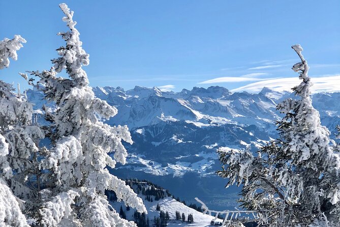 Private Day Trip in the Heart of the ALPS - Jungfrau Region - Important Safety Information