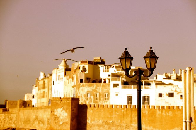 Private Day Trip to Essaouira From Marrakech Including Camel Ride at the Beach - Enjoying the Beach Camel Ride