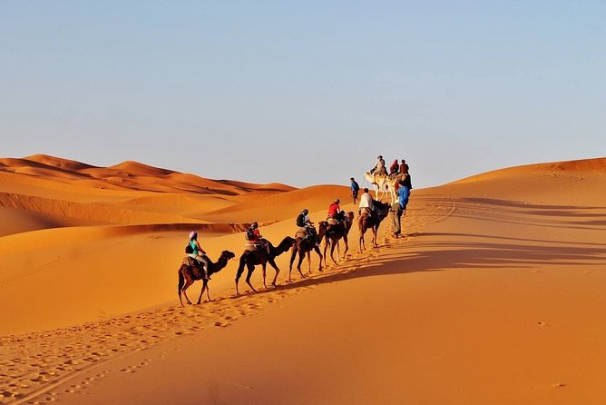 Private Desert Tour From Marrakech To Fes Via Desert Sahara - Accessibility and Requirements