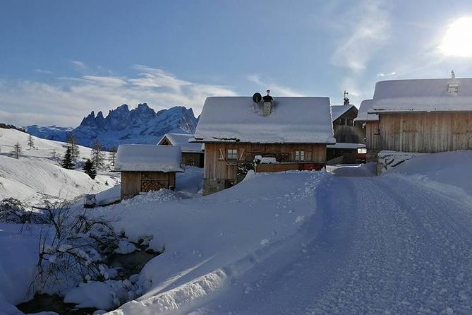 Private Dolomites Day Trip From Venice by Mercedes Class E Lux - Customization and Flexibility