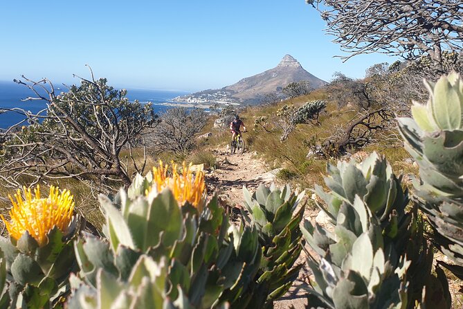 Private E-Bike Cape Town MTB Trails With a Pro - Tour Highlights