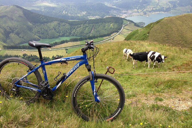 Private E-Bike Tour on Sete Cidades Volcanos Rim With Lake View - Reviews and Feedback