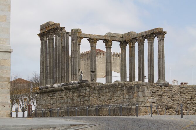 Private Évora Tour - Megaliths, Historical Center and Cork Region - Taking in the Cork Region