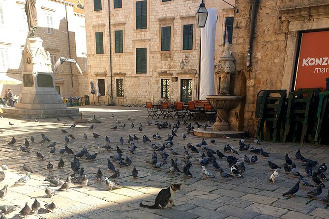 Private Fort Lovrijenac and Dubrovnik City Tour - Reviews