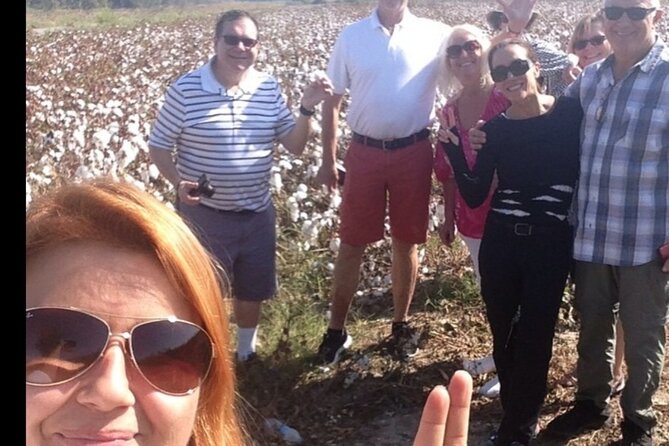 Private Full-Day Pamukkale Sightseeing Tour - Reviews and Feedback