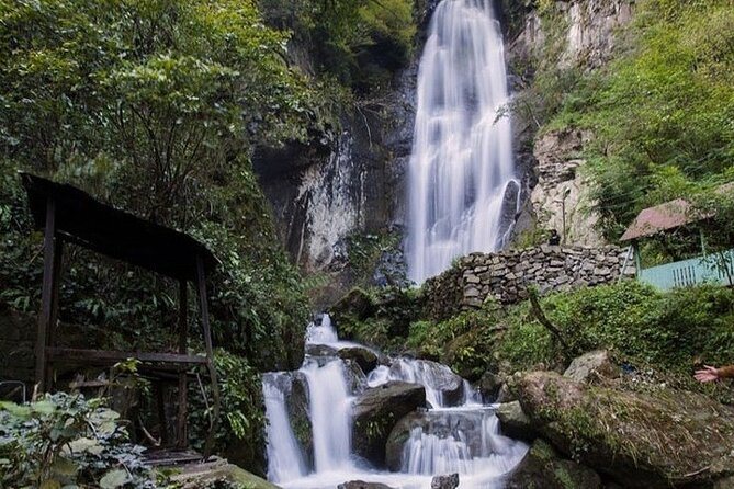Private Full Day Tour From Batumi to Waterfalls - Reviews and Feedback