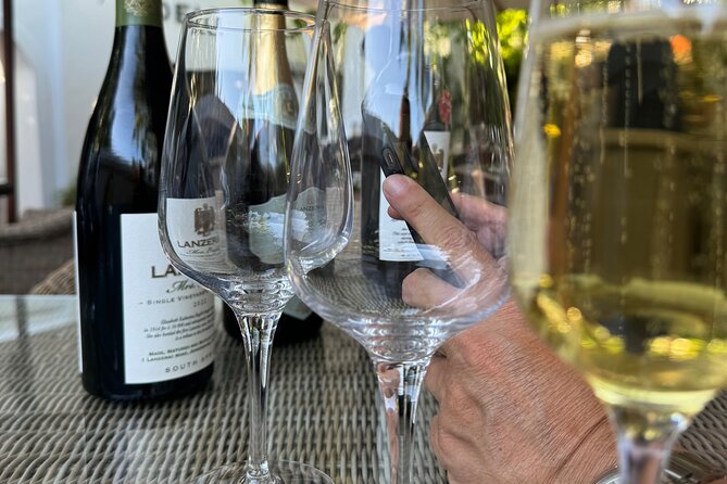 Private Full Day Wine Tour: Stellenbosch and Franschhoek & Paarl - Customer Reviews