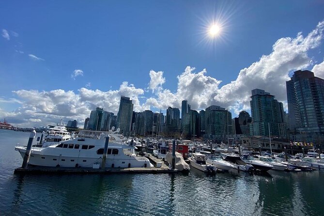 Private Guided Grand City Tour in Vancouver - Common Concerns and Feedback