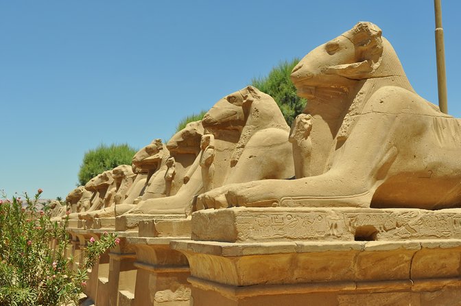 Private Guided Tour Valley of the King ,Queen Hatshepsut, &Memnon - Booking Process