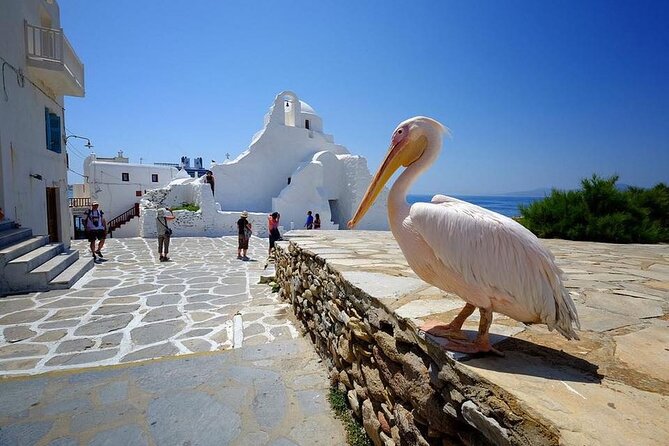 Private Half-Day Mykonos Insider Tour With Pick up - Cancellation Policy
