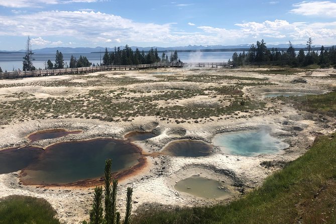 Private Hidden Gems of Yellowstone! Lunch W/ Family Friendly Hikes Included! - Optics and Spotting Gear