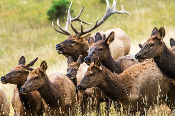 Private Hiking Tour to Rocky Mountain National Park From Denver and Boulder - Booking and Pricing Details