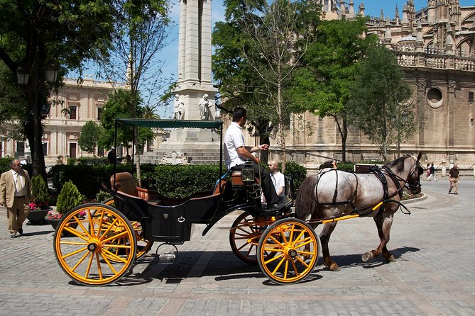 Private Horse Carriage Ride and Walking Tour of Seville - The Sum Up