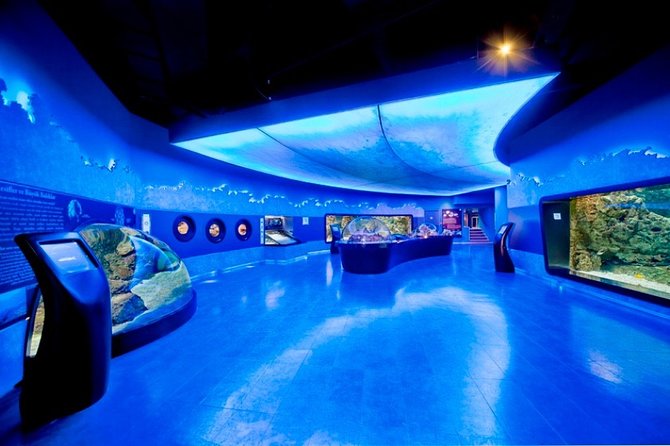 Private Istanbul Full Day Daily or Shopping Tour - Customer Reviews and Ratings