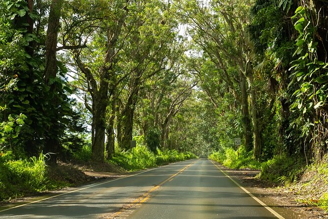 Private Kauai Island Tour-Featuring the Waimea Canyon - Tips for Your Kauai Adventure