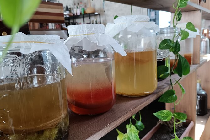 Private Kombucha Making Workshop in Cyprus - Kombucha Making Process