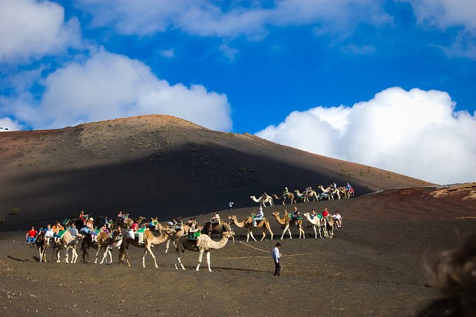 Private Luxury Tour to the National Park of Timanfaya With Camel Ride - Ask Away