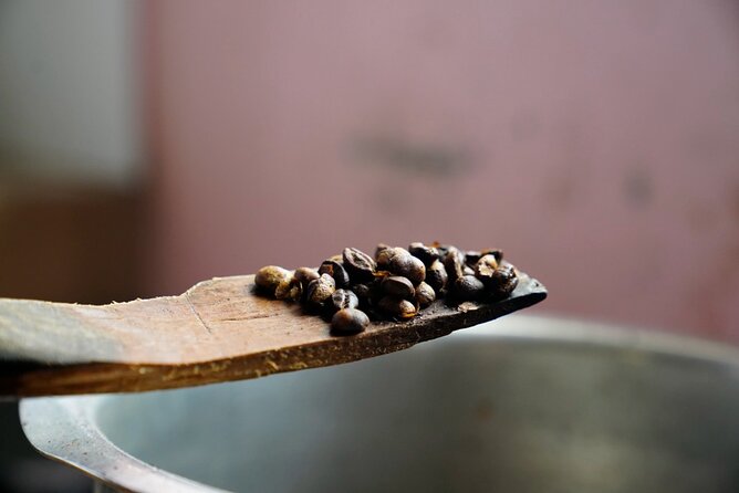 Private Meru Coffee Tour in Nkoaranga - Inclusions, Amenities, and Accessibility