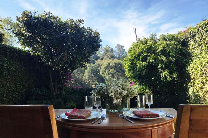 Private Mexican Cooking Class With a Gastronomic Historian - Reviews and Feedback