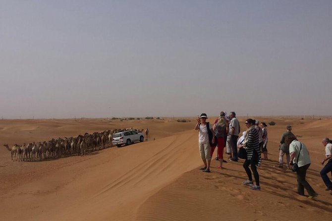 Private Morning Desert Safari From Dubai - Amenities