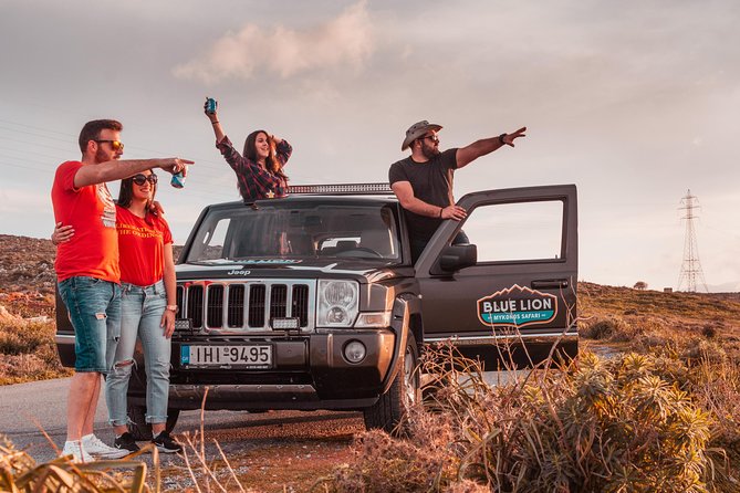 Private Morning Mykonos Safari Tour With Personal Driver - Pricing and Availability